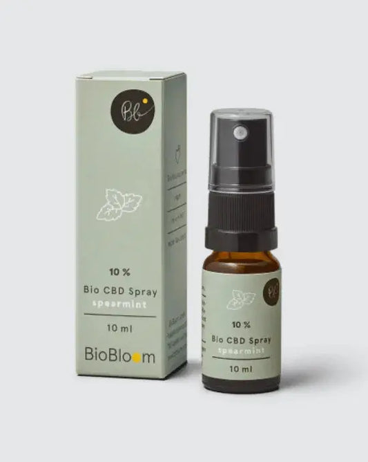 Bio CBD Spray 10 % mit Spearmint – Für Fokus & Balance
