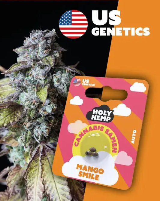 Mango Smile Cannabis Samen (Cali Seeds) | Autoflower 20 - 25% THC