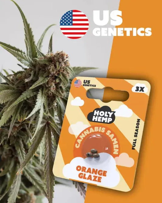 Orange Glaze Cannabis Samen (Cali Seeds) | 50/50 Hybrid, 18% THC/18% CBD