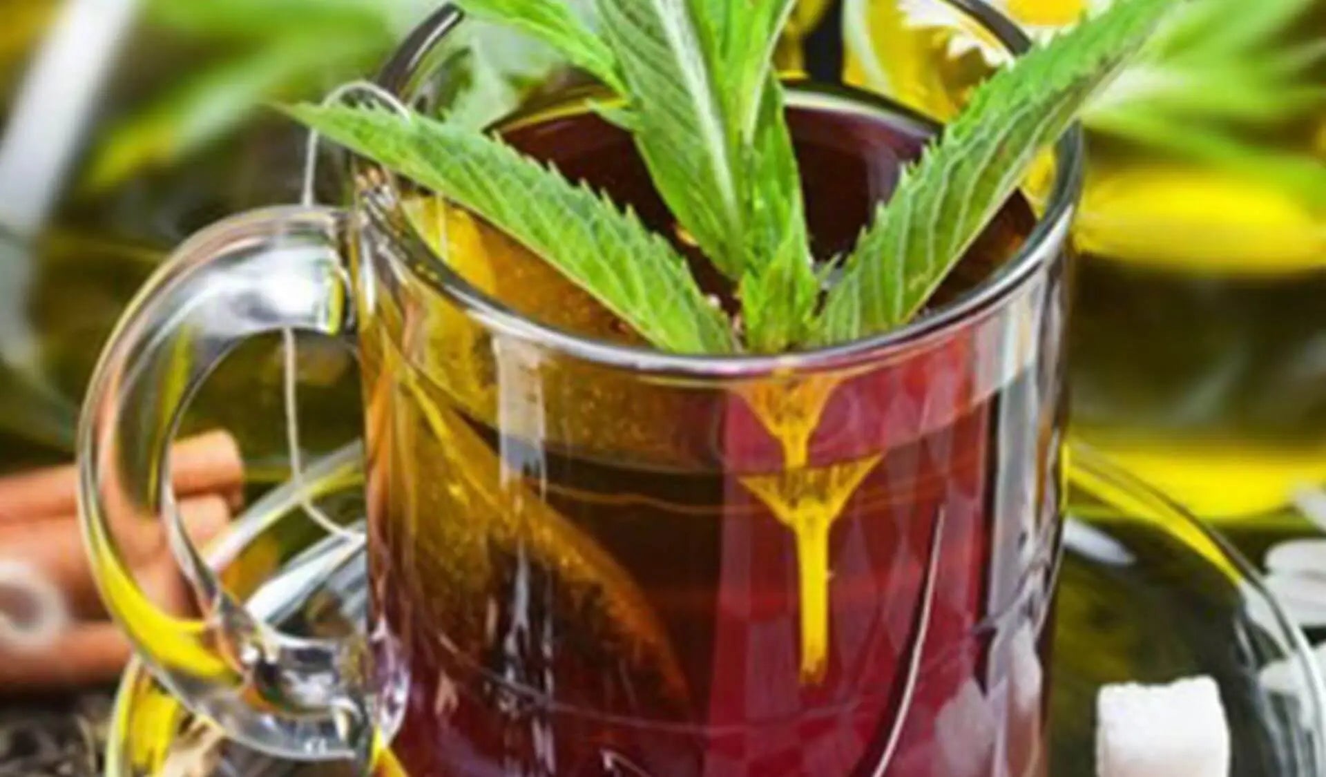 wärmender CBD Weihnachtstee mit Hanfblatt 