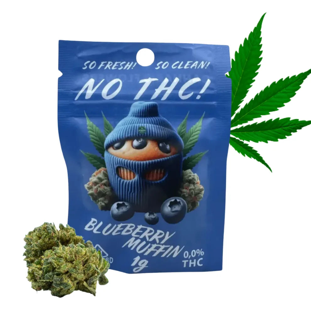 Sweedbar Blueberry Muffin CBD Blüten KANNOBA 