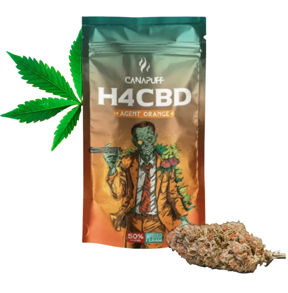 H4CBD Blüten Agent Orange 50 Prozent - Canapuff