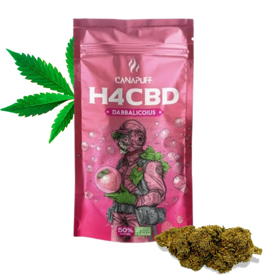 H4CBD Blüten Dabbalicious Canapuff