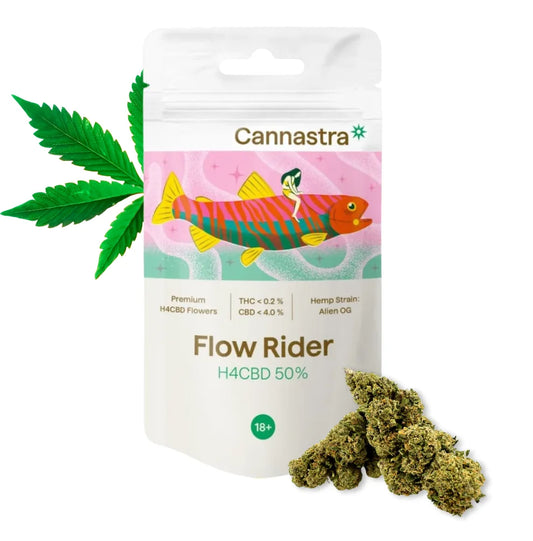 H4CBD Blüten Flow Rider (Alien OG) 50 Prozent – Cannastra