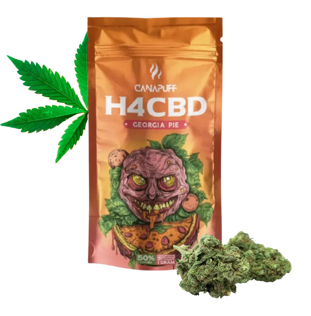 H4CBD Blüten Georgia Pie 50% – Canapuff