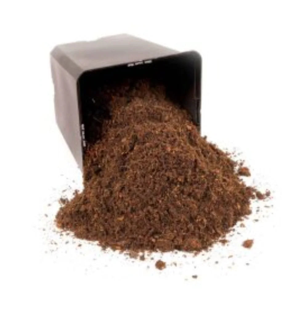 BioBizz Coco-Mix Kokossubstrat Nahaufnahme – lockere luftige Struktur