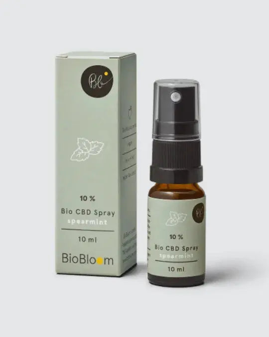 Bio CBD Spray 10 % mit Spearmint – Für Fokus & Balance