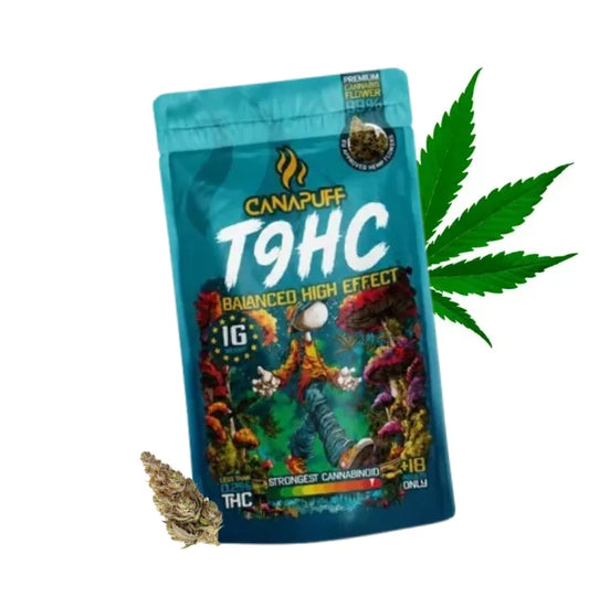T9HC Blüten von Canapuff Balanced 99%