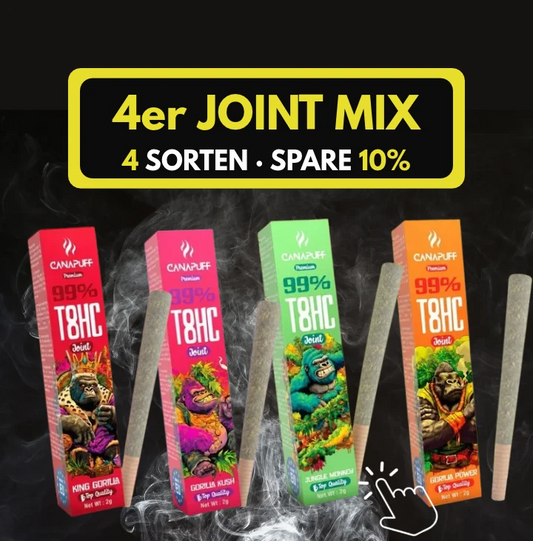 4er Bundle T8HC Joint Mix Angebot von Canapuff bei KANNOBA kaufen