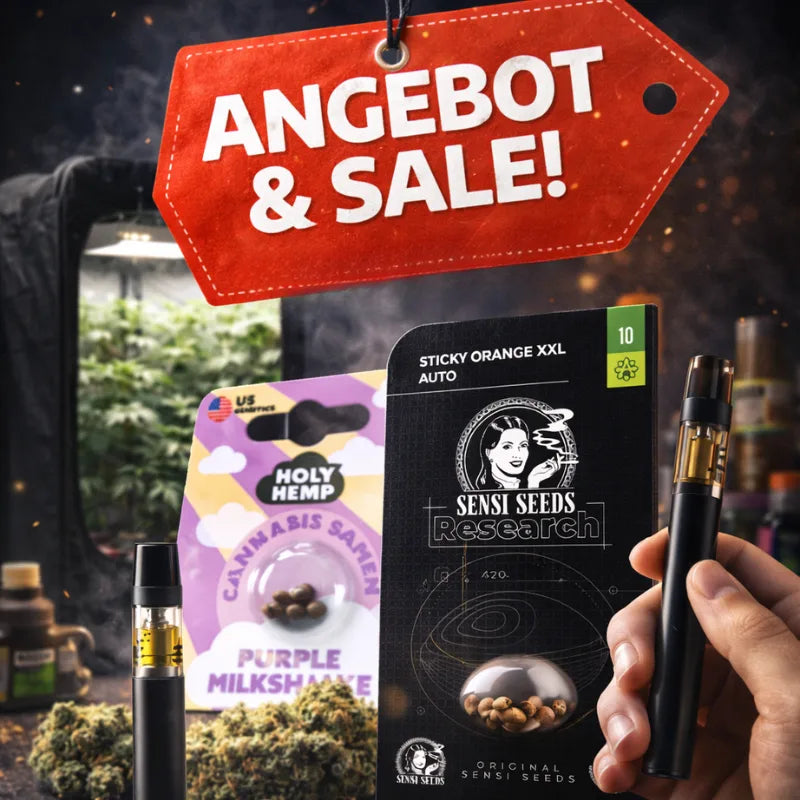 Angebot & Sale für Cannabis Produkte mit Vapes, Cannabis Samen, Pre-Rolls und Growbox im Hintergrund