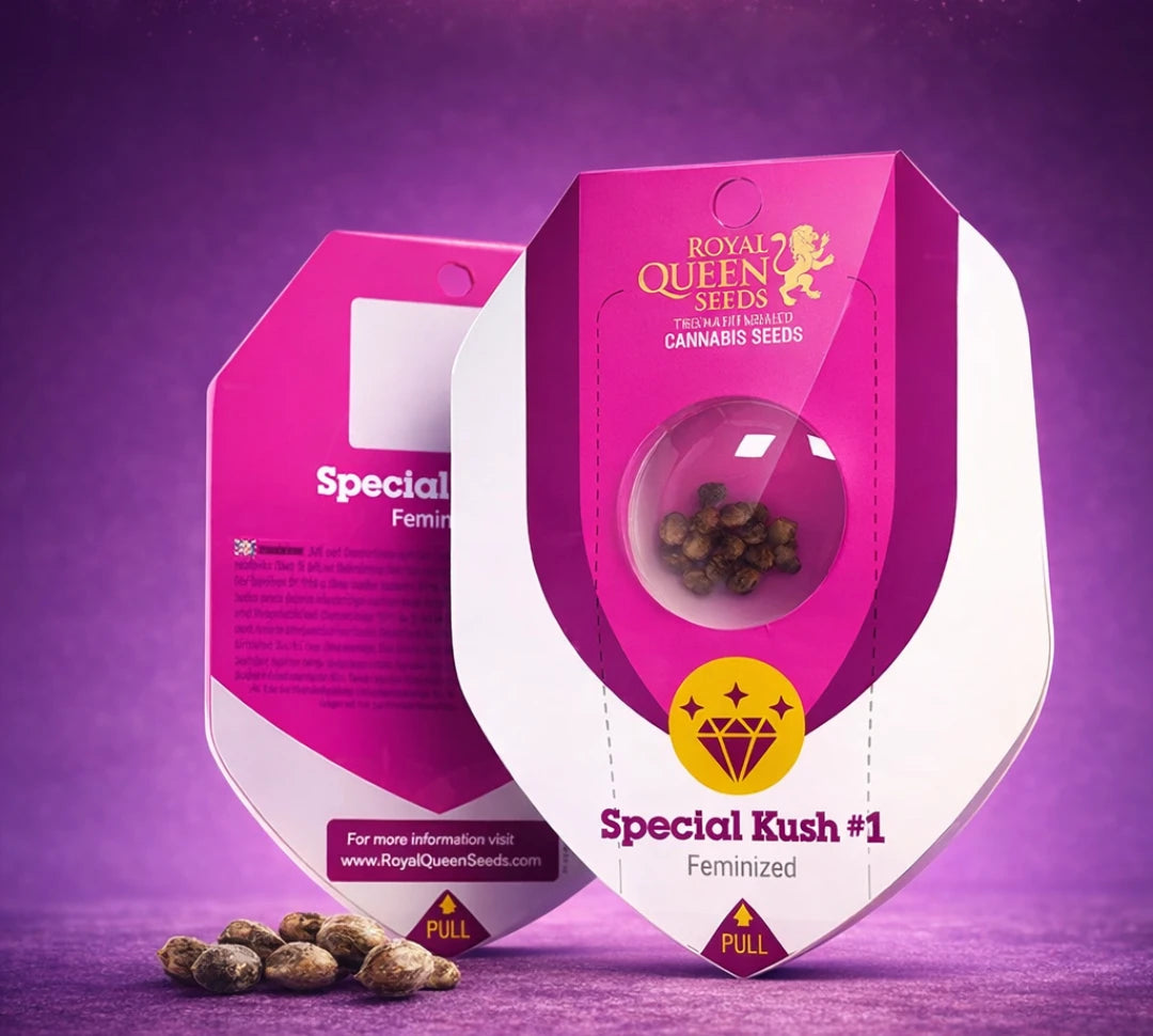 Feminisierte Cannabis Samen Special Kush von Royal Queen Seeds