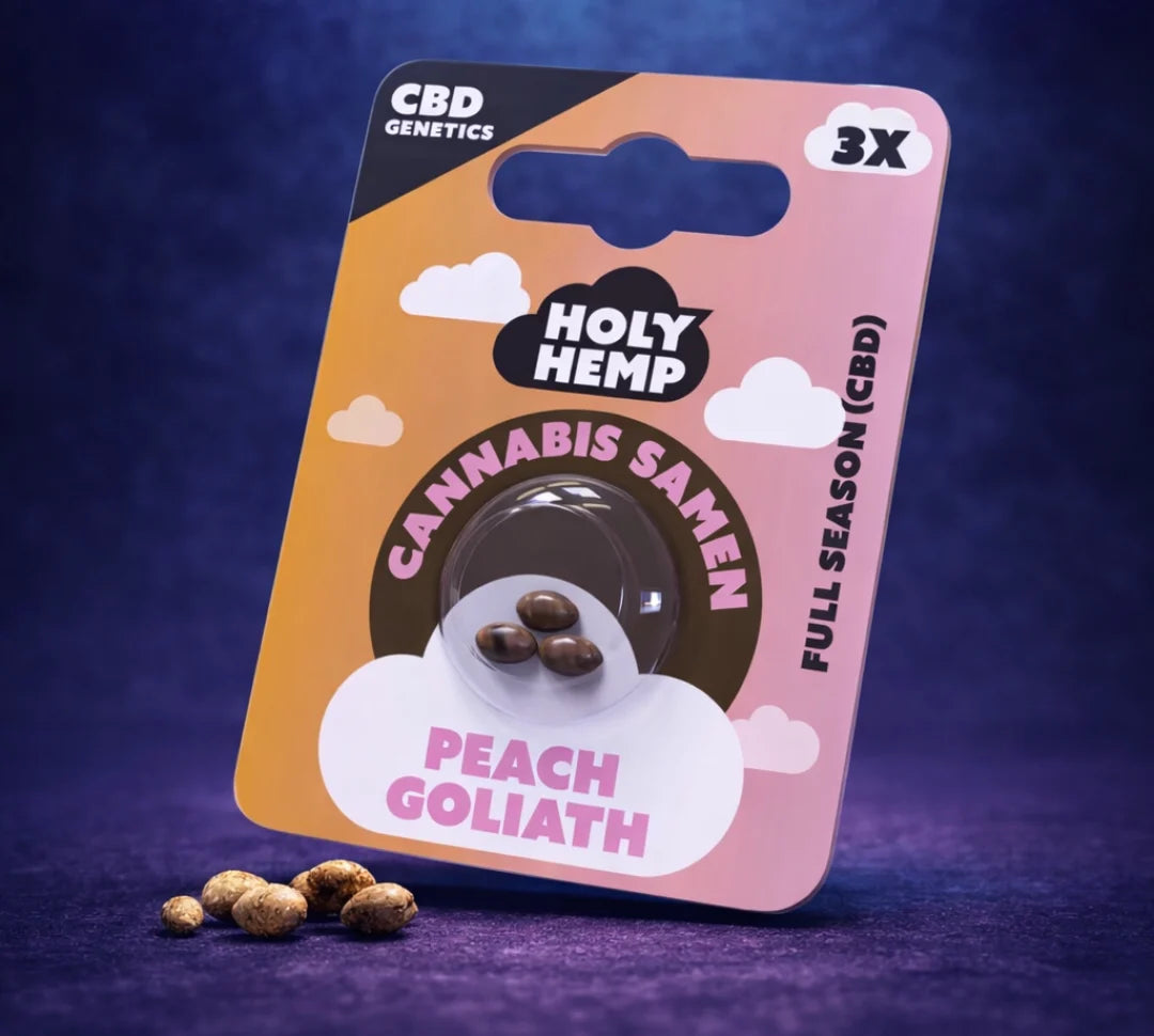 CBD Cannabis Samen Peach Goliath von Holy Hemp