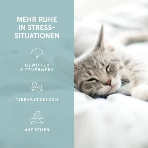 CBD Vital – CBD Hanföl für Katzen 2,1% Anwendungsgebiete
