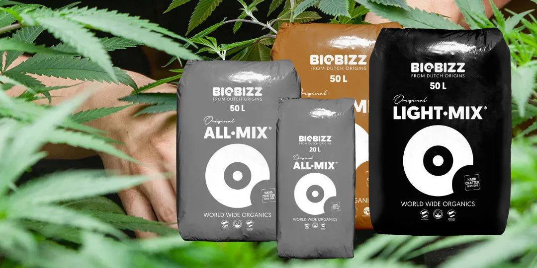 Grow Erde Cannabis Erde kaufen