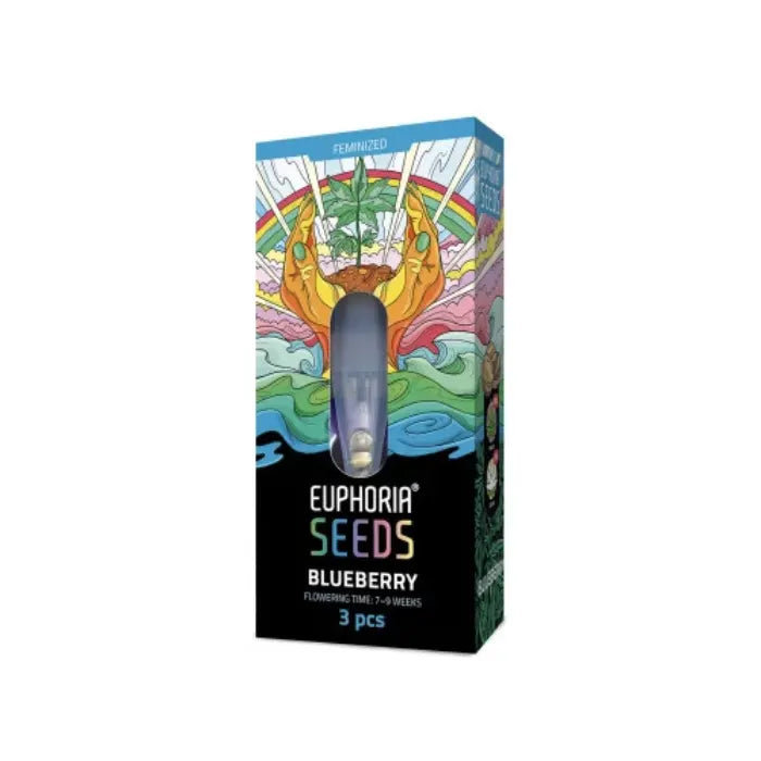 Euphoria Seeds Blueberry feminisierte Samen, Verpackung mit 3 Samen und 7 bis 9 Wochen Blütezeit