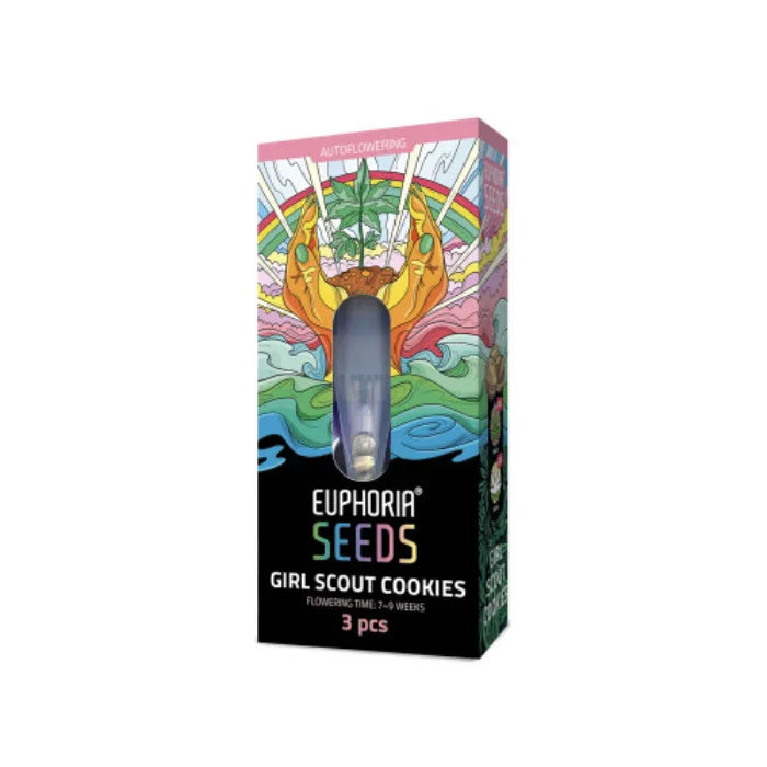 Euphoria Seeds Girl Scout Cookies Autoflower Samen, Verpackung mit 3 Samen und 7 bis 9 Wochen Blütezeit