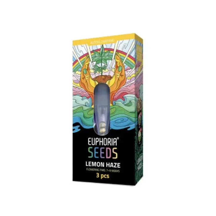Euphoria Seeds Lemon Haze Autoflower Samen, Verpackung mit 3 Samen und 7 bis 9 Wochen Blütezeit