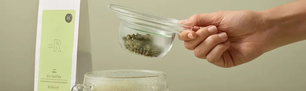 Bio Hanftee Teebox von BioBloom – entspannender CBD Kräutertee für ruhige Abende