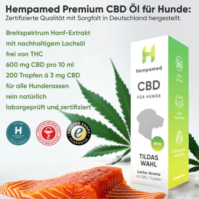 Premium CBD Öl für Hunde 6% (Lachs-Aroma) Vorteile und Bullet Points