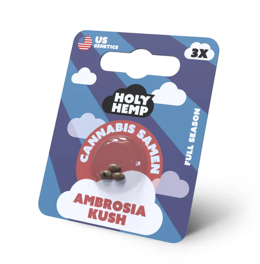 Holy Hemp Ambrosia Kush Full Season Cannabis Samen – 3er Verpackung mit US Genetics, photoperiodische Hanfsamen