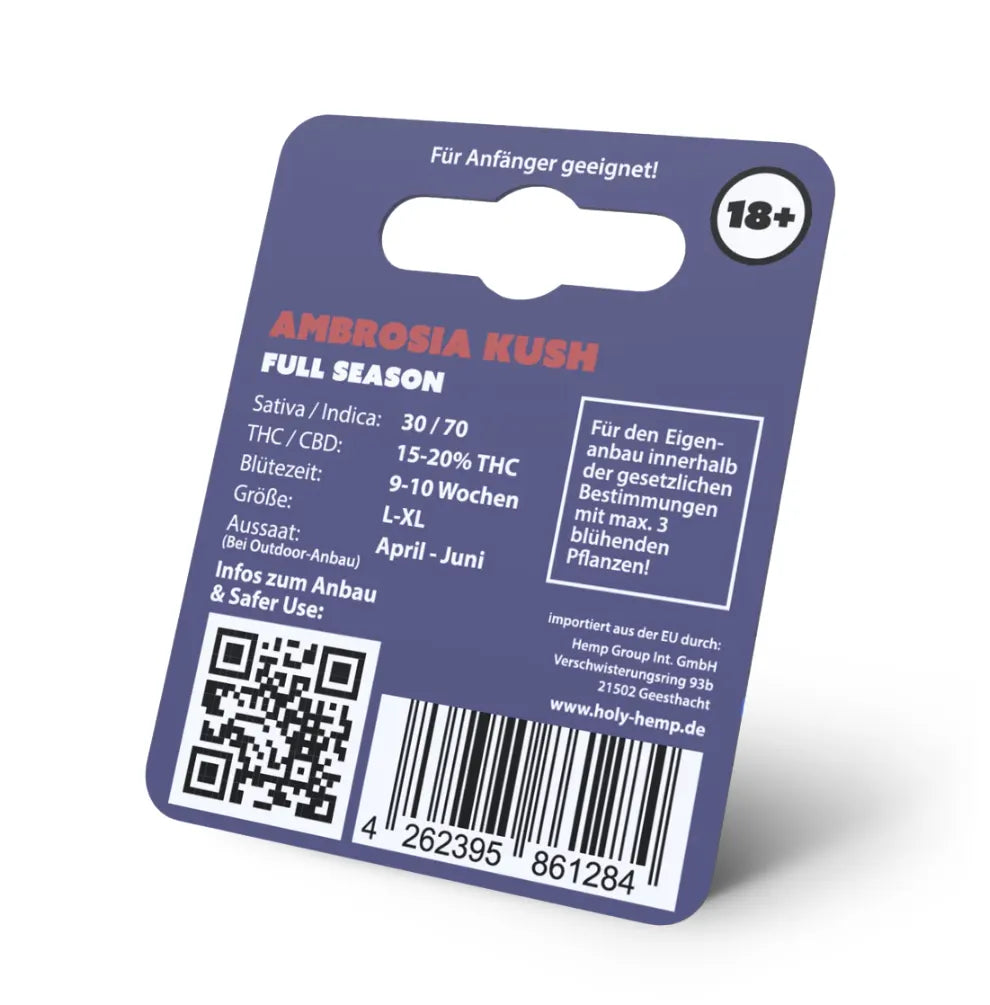 Holy Hemp Ambrosia Kush Full Season Rückseite – 30/70 Sativa Indica, 9-10 Wochen Blütezeit, Größe L-XL, für Anfänger geeignet