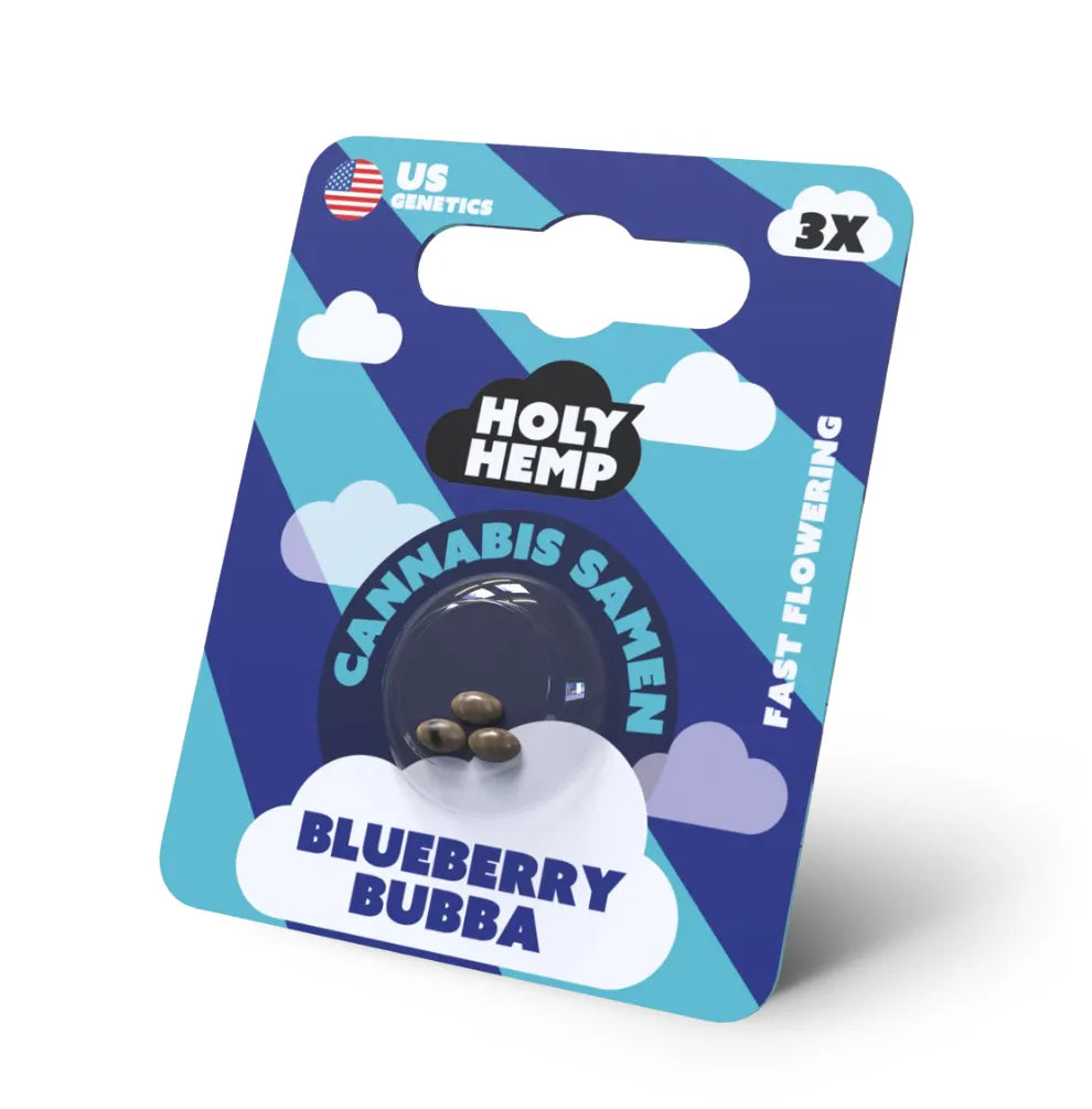 Holy Hemp Blueberry Bubba Fast Flowering Cannabis Samen - 3er Verpackung mit US Genetics, schnell blühende Hanfsamen