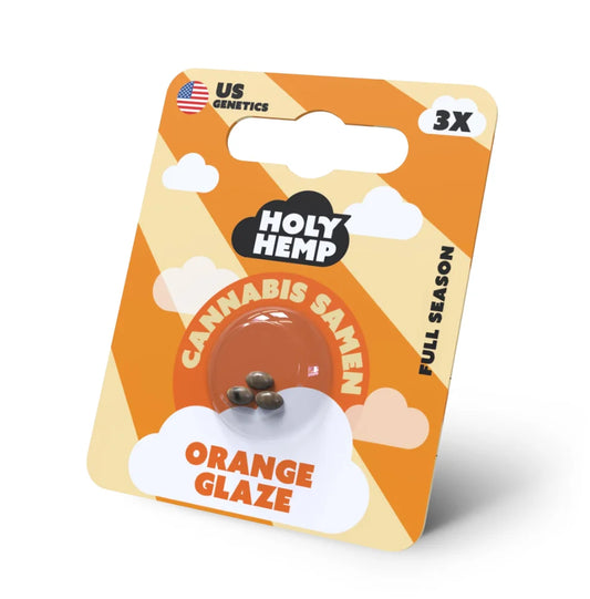 Holy Hemp Orange Glaze Full Season Cannabis Samen – 3er Verpackung mit US Genetics, photoperiodische Hanfsamen
