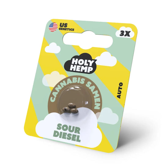 Holy Hemp Sour Diesel Auto Cannabis Samen – 3er Verpackung mit US Genetics, Autoflowering Hanfsamen