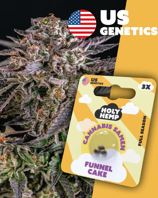 Funnel Cake – Süßer Kush-Genuss für entspannte Abende