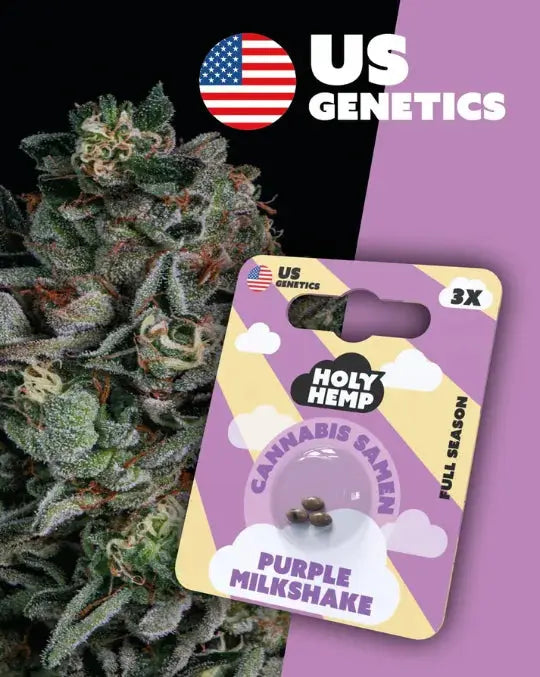 Purple Milkshake - Cannabis Samen (Cali Seeds) | Full-Season 15 - 20% THC