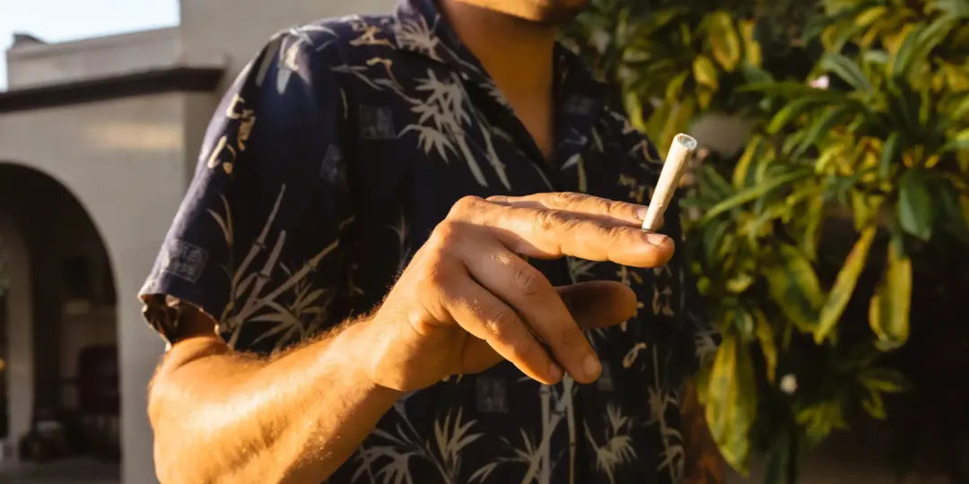 Fertig gedrehte Joints kaufen