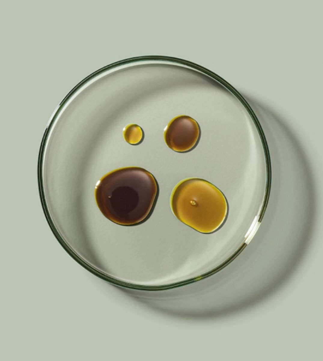 Das Bild zeigt Tropfen von Flüssigkeit in verschiedenen Farbtönen von Gelb und Braun, die auf einer Glasoberfläche platziert sind 
