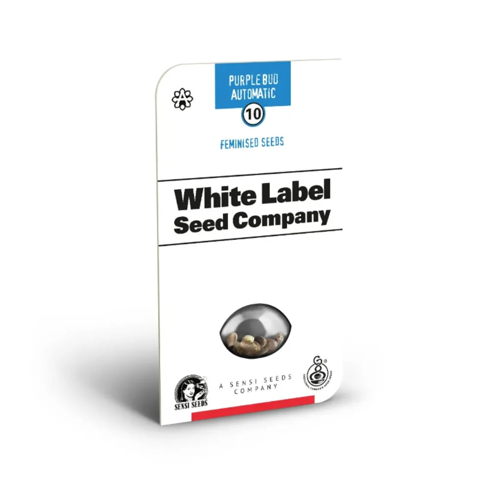 Purple Bud Automatic Hanfsamen Verpackung - White Label Seed Company (Sensi Seeds), 10 feminisierte Samen, Autoflowering