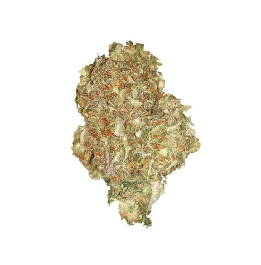 Quick One Automatic Bud Nahaufnahme - getrockneter Bud mit orangefarbenen Härchen und dichter Harzschicht