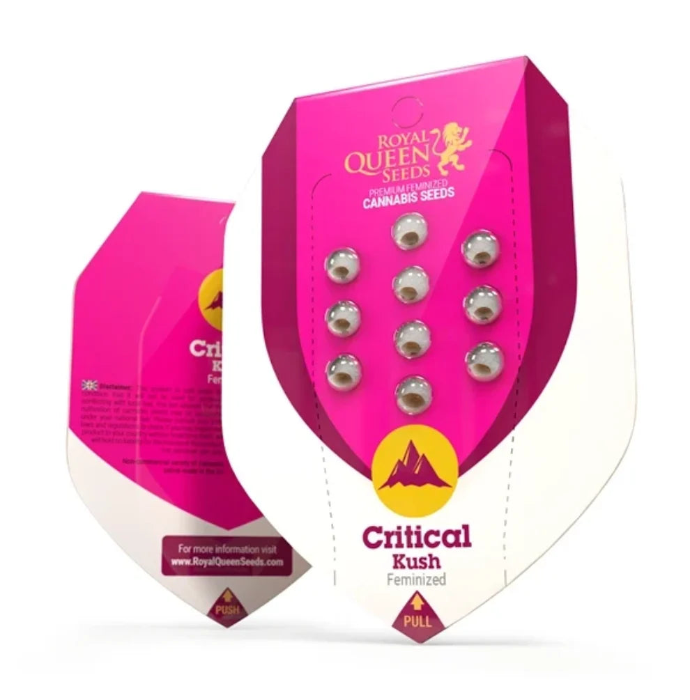 Royal Queen Seeds Critical Kush Feminisiert Cannabissamen Verpackung 10 Samen