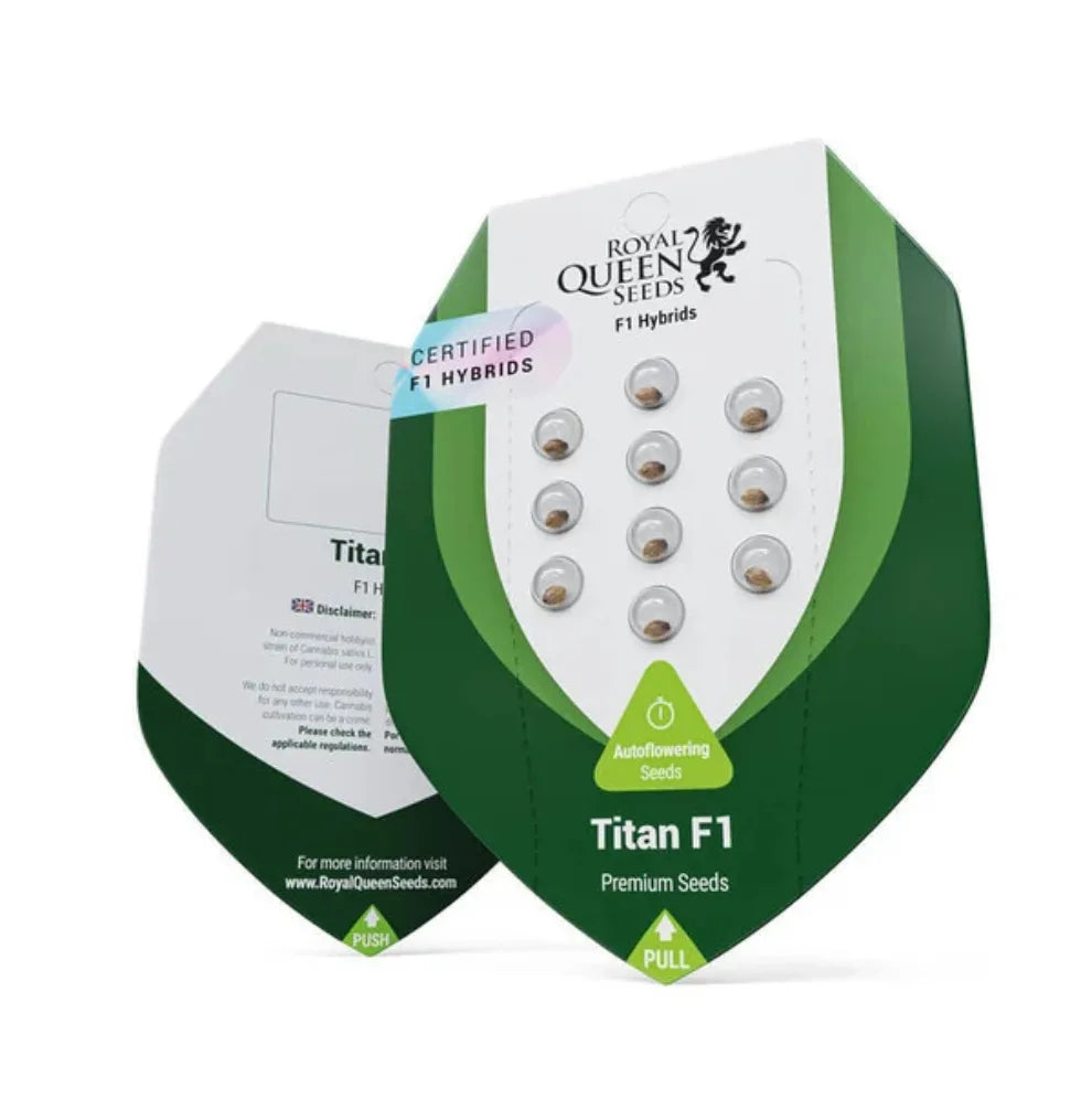 Royal Queen Seeds Titan F1 Samen Verpackung F1 Hybrid Autoflowering kaufen