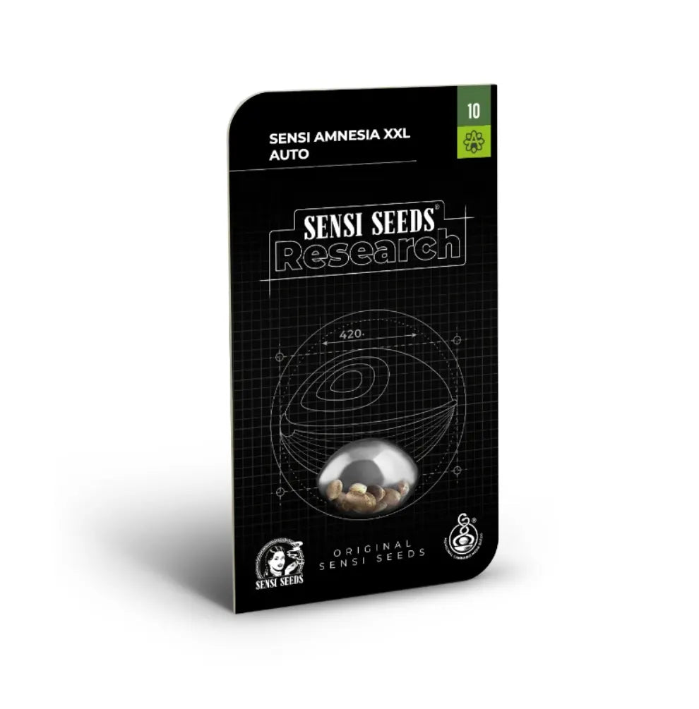 Sensi Seeds Amnesia XXL Automatic Hanfsamen – feminisierte Autoflowering Sativa Samen Verpackung
