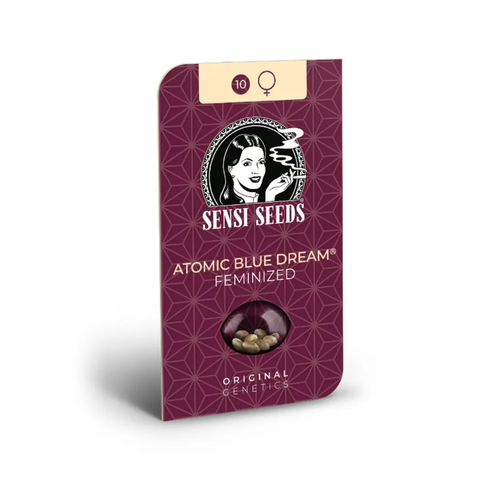 Sensi Seeds Atomic Blue Dream Feminisiert Cannabissamen Sativa Hybrid KANNOBA kaufen