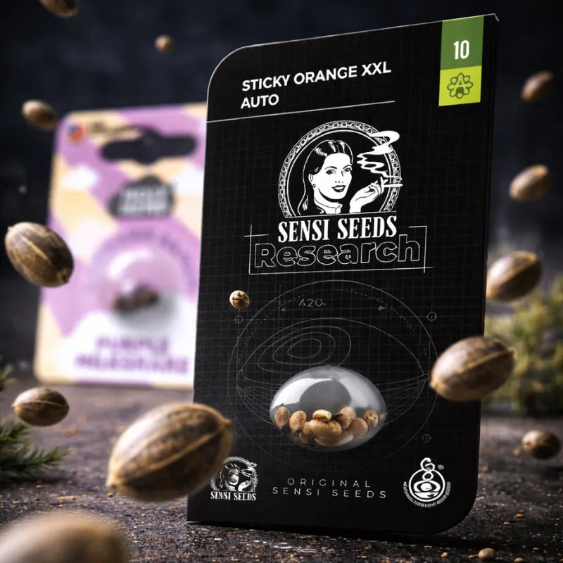 Cannabis Samen feminisierte Autoflower Grow Shop KANNOBA