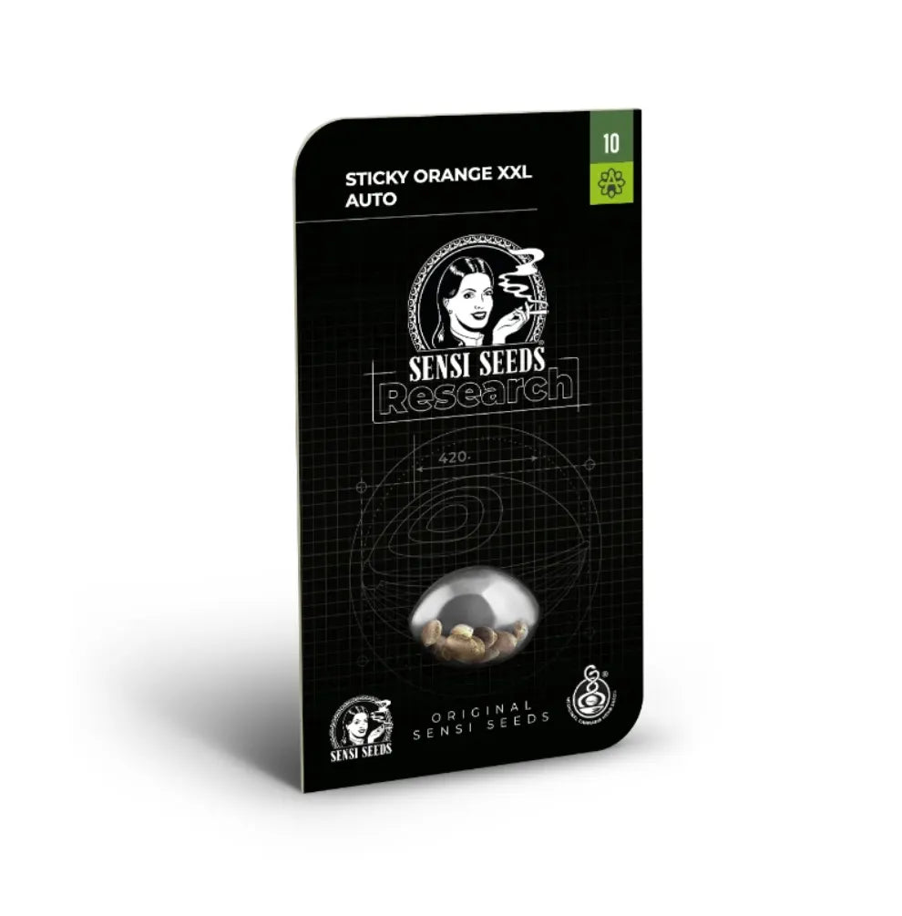 Sensi Seeds Sticky Orange XXL Automatic Samen feminisiert Autoflower Gorilla Glue KANNOBA