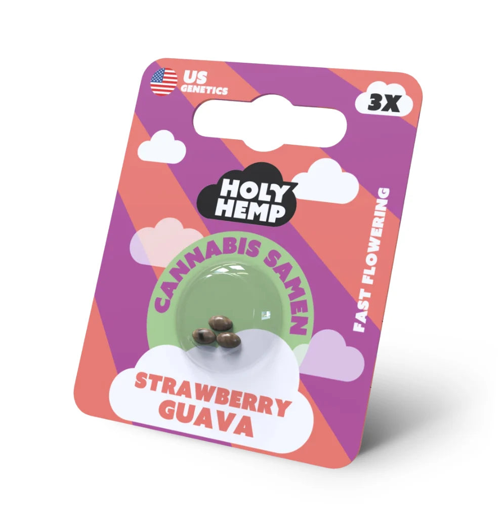 Holy Hemp Strawberry Guava Feminisiert – 3 Fast-Flowering Cannabis Samen Verpackung