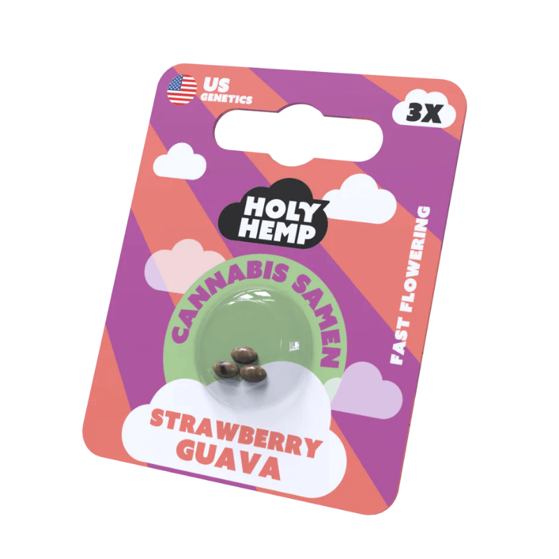 Strawberry Guava Cannabis Samen HolyHemp Verpackung mit 3 Stück Samen
