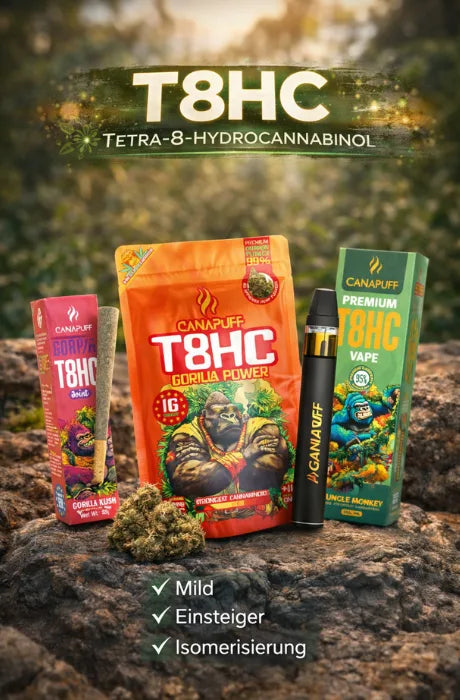 T8HC Produkte mit Blüten, Joint und Vape Pen von Canapuff auf natürlichem Hintergrund – mildes Cannabinoid für Einsteiger mit entspannter Wirkung