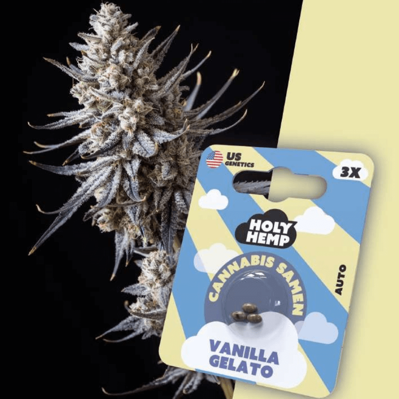 Vanilla Gelato Cannabis Seeds Verpackung mit Blüte