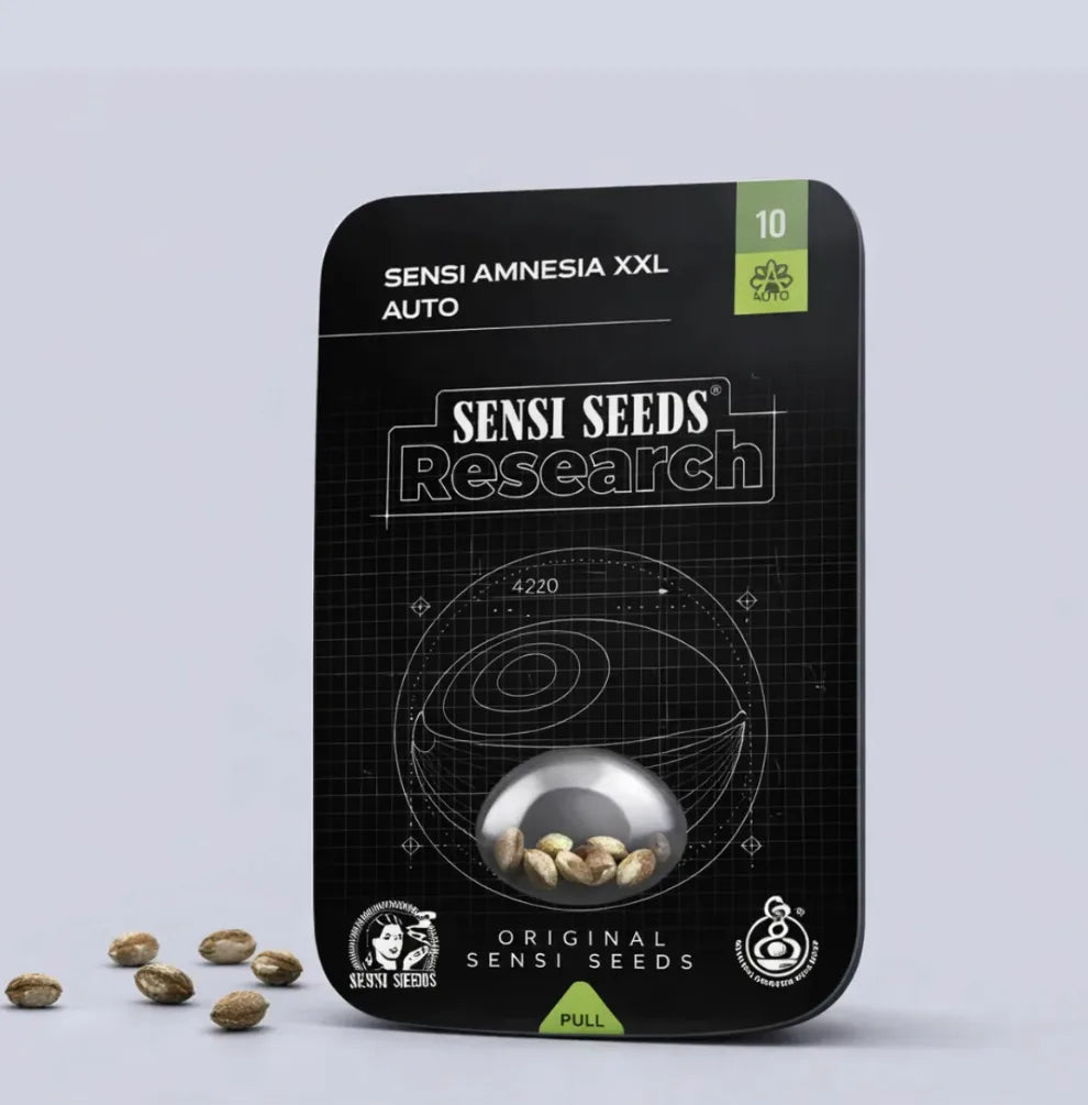 Sensi Amnesia XXL Automatic Hanfsamen Originalverpackung