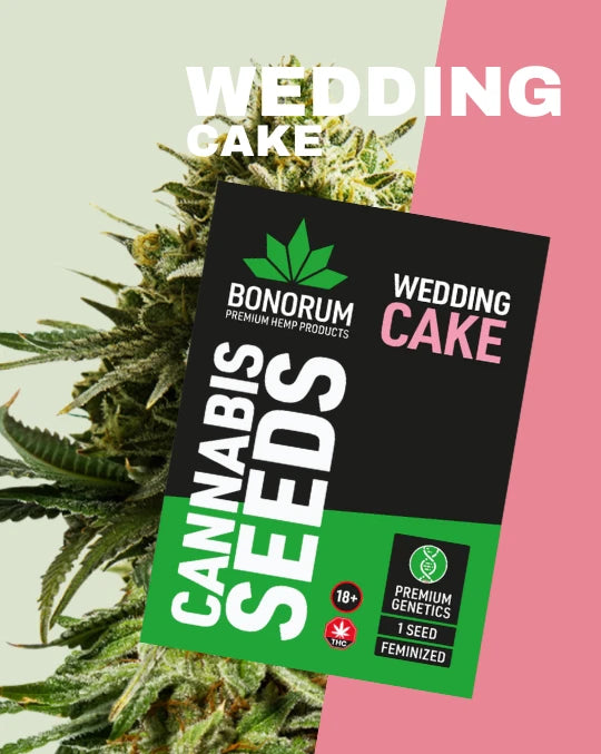 Wedding Cake Feminisiert THC Samen 3 Stk. | Feminisiert Bonorum